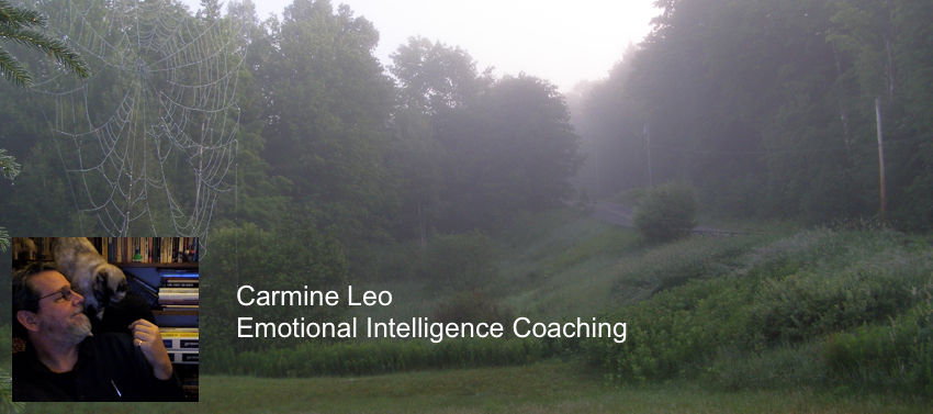 Carmine Leo - Emotional Intelligence Coaching and Training